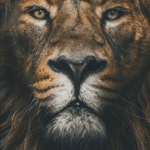 Meet your Posher, Francesco